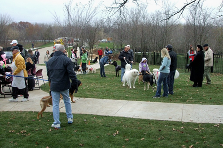 Wagging Tail Dog Park Opening 18.JPG